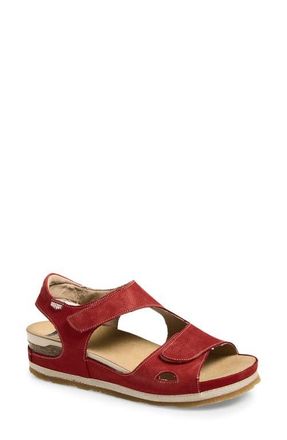 On Foot Cynara Espadrille Sandal in Rojo Nubuck at Nordstrom, Size 10.5Us
