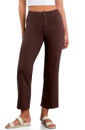 HINT OF BLU Ankle Straight Leg Jeans in Dark Chocolate at Nordstrom, Size 30