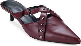 Yosi Samra Alexis Pointed Toe Kitten Heel Mule in Burgundy at Nordstrom, Size 8