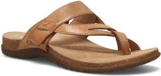 Taos Perfect Toe Loop Sandal in Tan at Nordstrom, Size 11