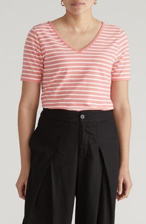 Universal Standard Double V-Neck T-Shirt in Portrait Pink at Nordstrom, Size 4Xl