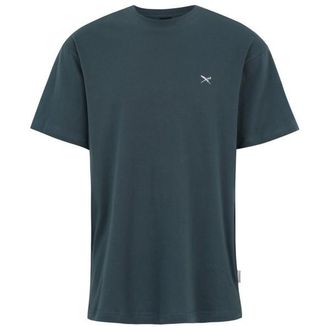 Iriedaily Mini Flag Relaxed Tee T-Shirt f&uuml;r Herren | blau