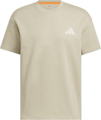 ADIDAS TERREX XPL GFX Tee T-Shirt f&uuml;r Herren | beige
