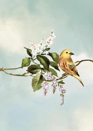 Komar Bild »Gazouillis des Oiseaux« Natur 1 Stk. tlg. Wandbild zur Dekoration - ohne Rahmen