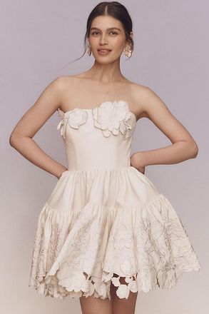 LEO LIN Skye Appliqu&eacute; Bustier Mini Dress