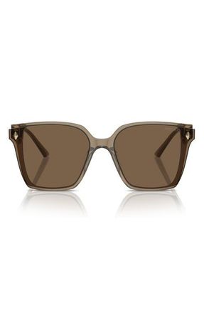 Jimmy Choo London 61mm Oversize Square Sunglasses in Transparent Brown /Dark Brown at Nordstrom