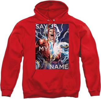 Gildan Justice League of America Say My Name Adult Pull Over Hoodie / Hooded Sweatshirt