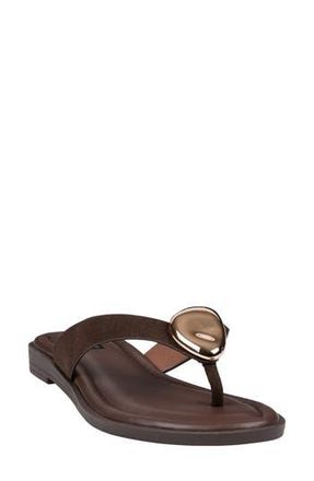 Good Choice Shoes Lumi Embellished Flip Flop in Dark Brown at Nordstrom Rack, Size 6