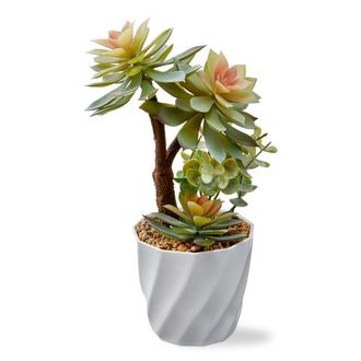 Tag Tall Faux Succulent Pot Multi 5.51x5.51x7.87 in Botanicals in Green at Nordstrom