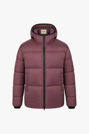 Genti Monogram Winterjas Knox | Bordeaux