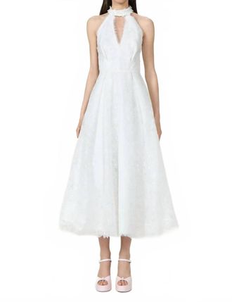 Costarellos Lavinia Embroidered Organza Halter Neck Midi Dress In Off White