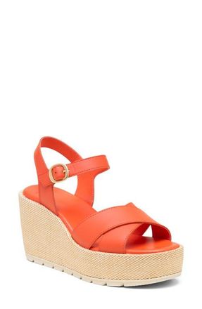 Sorel Sunpeak Ankle Strap Platform Wedge Sandal in Crimson Fire/Chalk at Nordstrom, Size 10.5