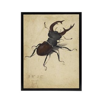 Artery8 Stag Beetle Nature Study Albrecht Durer Framed Canvas Wall Art Print in Beige | Size: W24 x H32