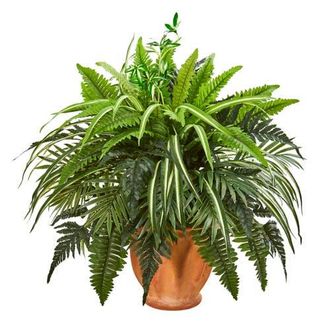 Nearly Natural 23-in Mixed Greens and Fern Artificial Plant in Terra Cotta Planter at Nordstrom