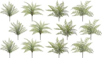 Melrose International Set Of 12 Assorted Fern Foliage Bush