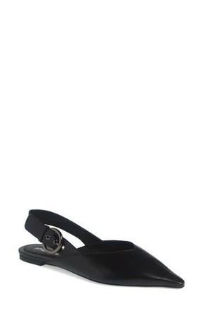 Jeffrey Campbell Scone Slingback Pointed Toe Flat in Black at Nordstrom Rack, Size 8