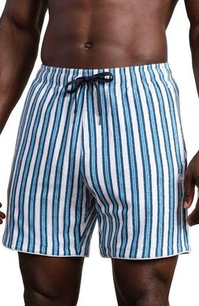 Rhone Seaside Terry Shorts in Ash Blue Vintage Stripe at Nordstrom, Size Medium