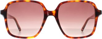 Ted Baker Zonnebril TB1688 100 52