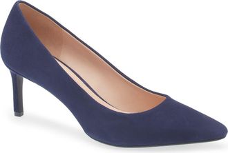 Cole Haan The Go-To Janey Pointed Toe Pump in Midnight Moon Sde at Nordstrom Rack, Size 8.5