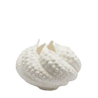 Schubiger M&ouml;bel Vase Deluxe Ursula Porzellan Weiss H: 26 cm