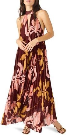 Steve Madden Maraya Floral Pleated Halter Neck Maxi Dress in Tigerlily at Nordstrom Rack, Size X-Large