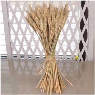 Trade Shop Trade Shop - Spighe Di Grano Fascio 80 Pezzi Colore Naturale Artificiali H92cm Decorazione