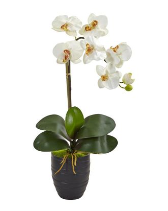 Nearly Natural Phalaenopsis Orchid In Black Vase