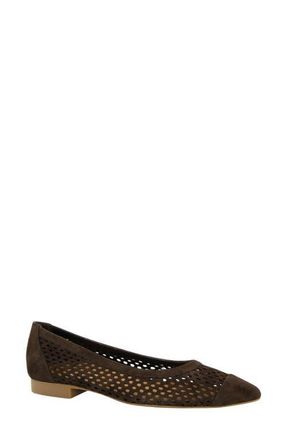 Paul Green Deanna Pointed Cap Toe Flat in Moro Suede at Nordstrom, Size 10.5Us