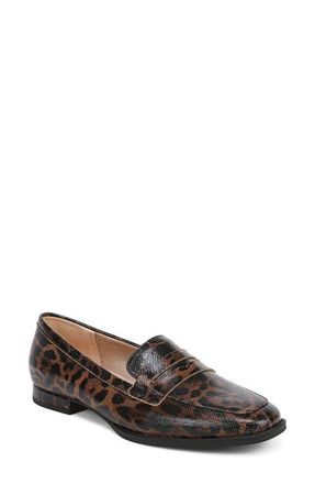 Life Stride Frankie Penny Loafer in Brown Multi at Nordstrom, Size 8.5