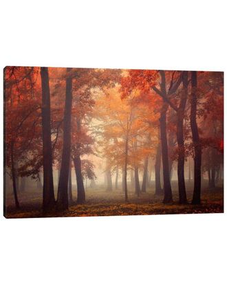 iCanvas Feel By Ildiko Neer Wall Art