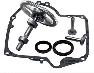 OEM Briggs&stratton - Kit De Reemplazo De &Aacute;rbol De Levas 793880 793583 792681 791942 795102 Con Sello De Aceite 795387 Y Juntas De C&aacute;rter 697110
