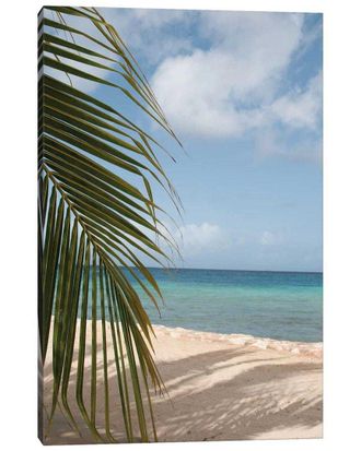 iCanvas Icanvas Gallery Wrapped Canvas Art