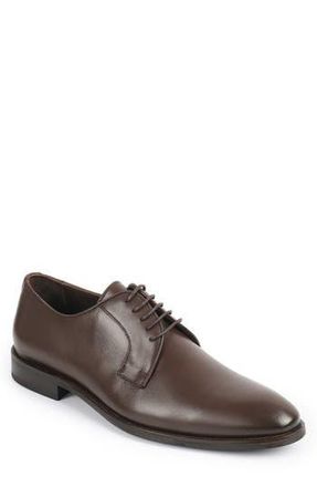 Vella Pais Campiello Derby in Dark Brown at Nordstrom Rack, Size 7