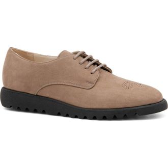 Amalfi By Rangoni Esatta Derby in Fossil Long Beach at Nordstrom, Size 6.5