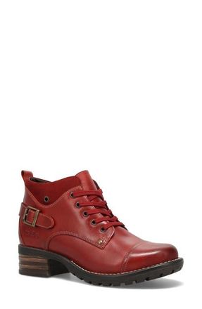 Taos Mini Crave Ankle Boot in Red at Nordstrom, Size 10-10.5Us