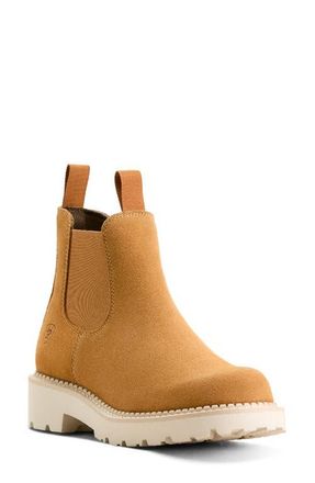 Ariat Lug Sole Chelsea Boot in Wheat Suede at Nordstrom, Size 7.5