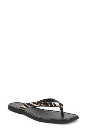 Veronica Beard Clea-2 Flip Flop in Ziger Brown at Nordstrom, Size 11