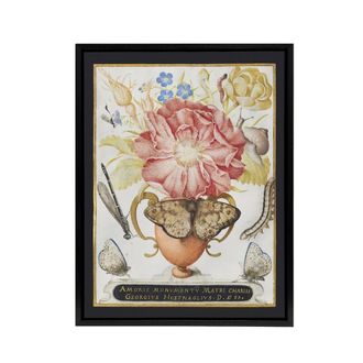 Artery8 Flowers Snail Insects & Butterflies Hoefnagel Framed Canvas Wall Art | Size: W24 x H32