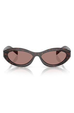Prada 56mm Oval Sunglasses in Brown Tortoise at Nordstrom