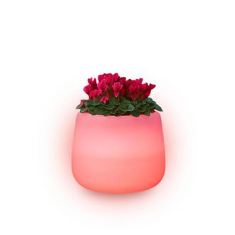 Monacis Jarr&oacute;n Luminoso De Dise&ntilde;o Moderno, &Oslash;53 H55, En Pol&iacute;mero Resistente Con Led Rojo Para Interiores Y Exteriores - Hecho En Italia - Monacis