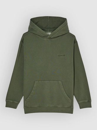 Element Lowcase Pigment Po Kids Hoodie groen