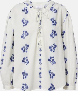 Velvet Blusa Winslet de algod&oacute;n