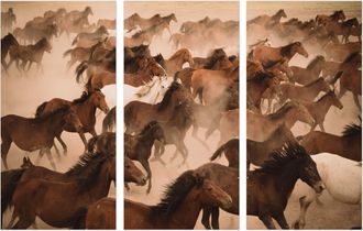 Schubiger M&ouml;bel Digitaldruck auf Glas Wildpferde 2