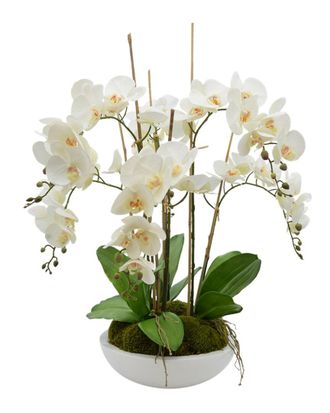 Creative Displays Inc. White Orchid Floral Arrangement