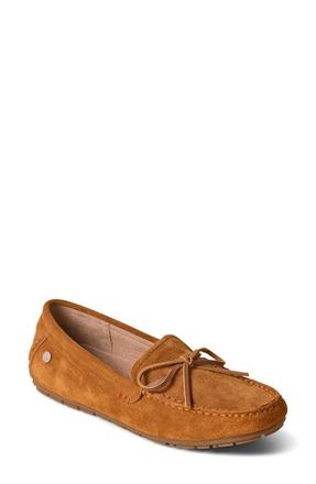 Minnetonka Moc Toe Driving Loafer in Brown at Nordstrom, Size 8.5