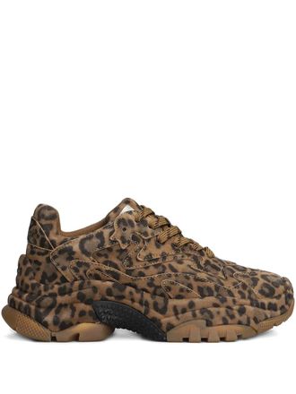 Ash Sneakers Addict Bis leopardate - Marrone