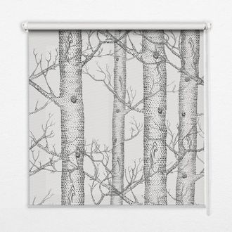 Tulup Tenda A Rullo Interna Per Finestra - Tenda Filtrante Luce - Tenda Privacy - Tenda Decorativa Rettangolare - Rullo Per Interni - (100 Cm X 140 Cm) - Ba