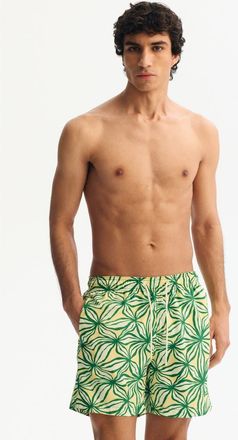 H&M Patterned Swim Shorts in Green/patterned at Nordstrom, Size X-Large