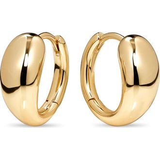 Devata Teardrop Hoop Earrings in Gold Plated Sterling Silver in Yellow Gold at Nordstrom