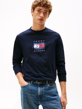 Tommy Hilfiger Langarmshirt TOMMY HILFIGER LINEAR FLAG GRAPHIC, Herren, Gr. L, blau (desert sky), Single Jersey, Obermaterial: 100% Baumwolle, regular fit, Rundhals,